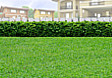 Lot for Sale in Anonas, Urdaneta, Pangasinan (Near SM City Urdaneta)
